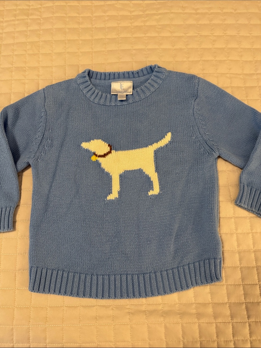 Little English size 2T blue dog sweater